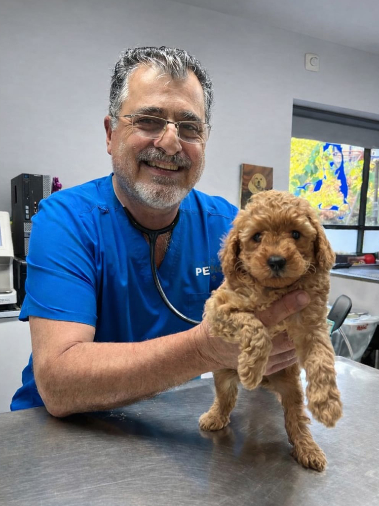 ד"ר אבי פצ'ו