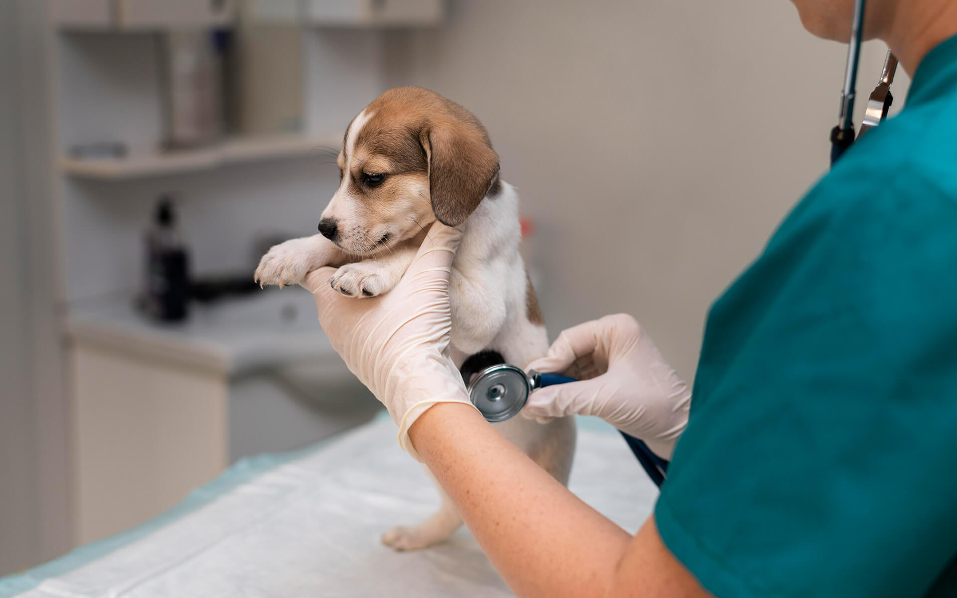 אונקולוגיה - אבחון וטיפול צמוד